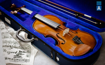 Violina i kako izabrati najbolju za školu
