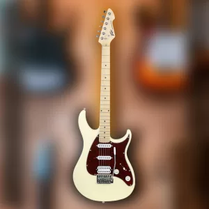 Odlična Blues Rock električna gitara pristupačne cijene