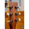 Tanglewood Auld Trinity serija - Grand Auditorium oblik, elektro-akustična, ozvučena akustična gitara