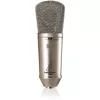 Kondenzatorski mikrofon za studijsko snimanje sa uštedom budžeta