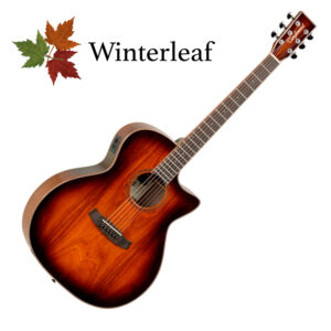 Tanglewood TW4 VC KOA Winterleaf akustična gitara