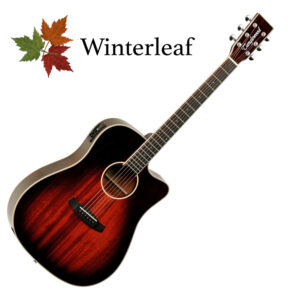 Tanglewood Winterleaf TW5 E AVB ozvučena gitara