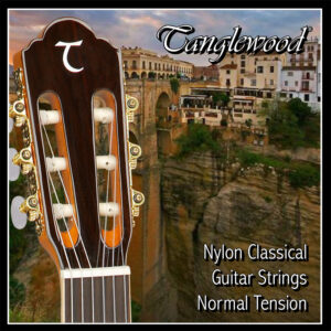Tanglewood TWGS-C najlonske žice za klasičnu