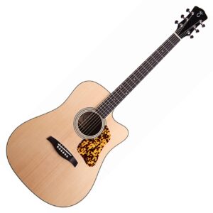 Levinson LDC-45 Missouri VT ozvučena gitara