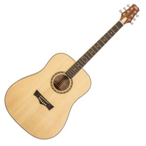 Peavey Delta Woods™ DW-1™ akustična gitara sa torbom