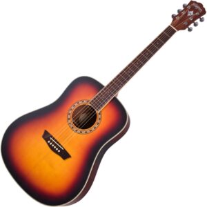 Washburn WD 7S Solid Top  akustična gitara