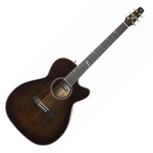 Seagull Artist Mosaic Concert Hall CW Bourbon Burst GT Anthem EQ