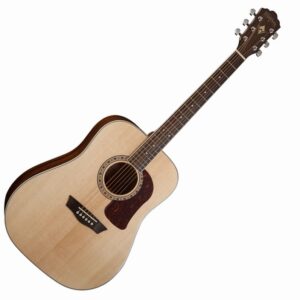 Washburn Heritage D10S