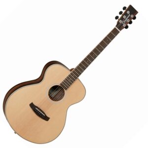 Tanglewood DBT F EB akustična gitara