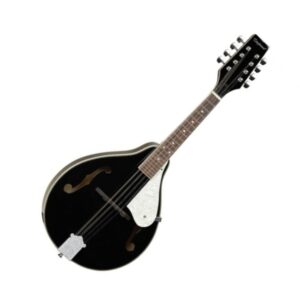 Tanglewood Mandolin TWM T BKP