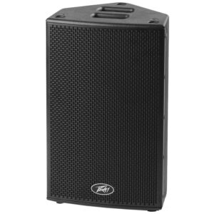 Peavey Hisys H10