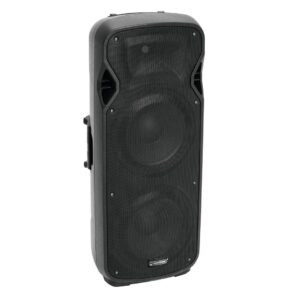 Omnitronic VFM-2215AP
