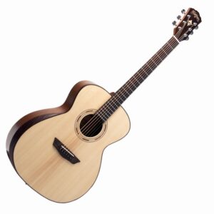Washburn Comfort G10SE akustična gitara