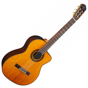 Takamine GC5CE-NAT školska gitara