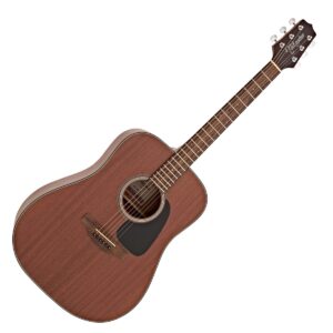 Takamine GD11M-NS akustična gitara