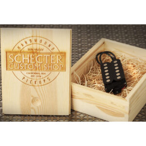 Schecter San Andreas bridge