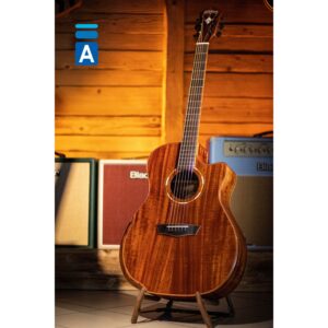 Washburn Comfort G55CE KOA ozvučena akustična gitara