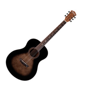 Washburn Bella Tono Novo S9
