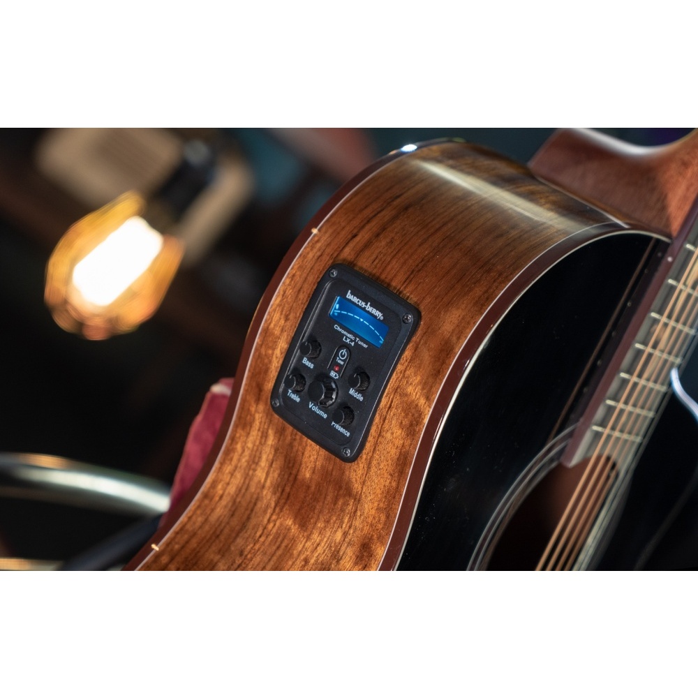 Washburn Bella Tono Vite S9V akustična gitara sa cutaway tijelom, profesionalnim Barcus Berry LX4 pickup i preamp sistemom, Ebony fingerboard sa vine inlaid detaljima i figuralnim Walnut back & sides, pruža luksuzni zvuk i udobnost za studio i nastupe uživo. Prodaja Artist d.o.o. Banja Luka, Sarajevo.