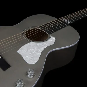 Godin Rialto JR Satina Gray HG Q-Discrete akustična gitara kompaktne veličine sa punom smrekovom pločom i Q-Discrete elektronikom. Prodaja Artist d.o.o. Banja Luka, Sarajevo