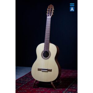 Pro Andalus 10A-S sa Gig Bag torbom