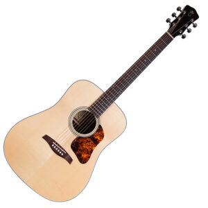Levinson Canyon Missouri LD-223 EA gitara