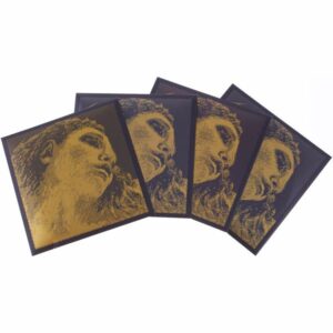Pirastro EVAH PIRAZZI GOLD 4/4 set žice za violinu set