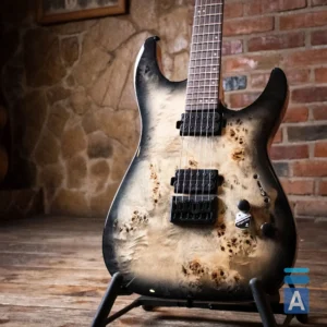 Schecter C-6 PRO CB električna gitara