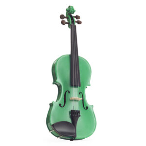 Stentor Harlequin violina sa koferom 4/4 Sage Green