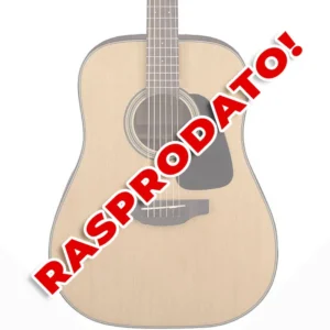 Takamine GD10-NS akustična gitara