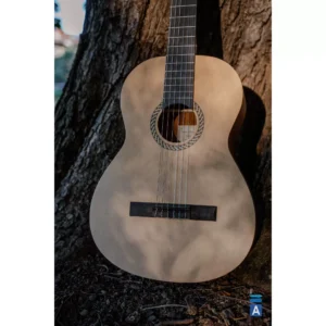 Tanglewood EM-E2 Enredo Madera klasična gitara