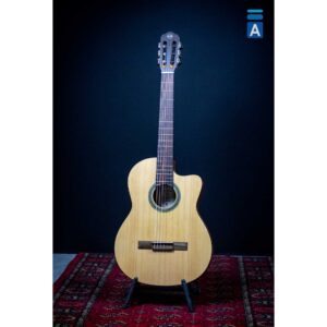 Tanglewood EM DC1 ozvučena klasična gitara