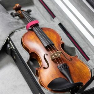 Stentor GRADUATE 4/4 violina sa koferom