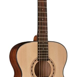 Washburn Aprentice F5