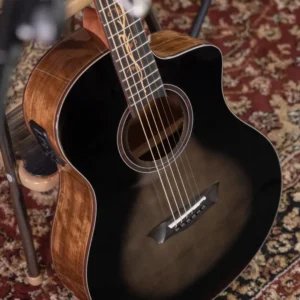 Washburn Bella Tono Vite S9V akustična gitara sa cutaway tijelom, profesionalnim Barcus Berry LX4 pickup i preamp sistemom, Ebony fingerboard sa vine inlaid detaljima i figuralnim Walnut back & sides, pruža luksuzni zvuk i udobnost za studio i nastupe uživo. Prodaja Artist d.o.o. Banja Luka, Sarajevo.