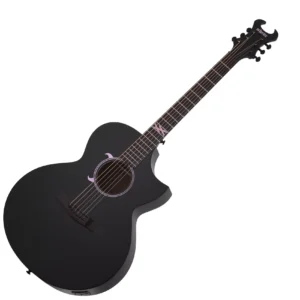 Akustične ozvučene gitare Akustične ozvučene gitare