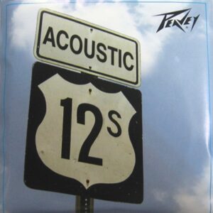 Peavey Highway Phosphor Bronze 12S