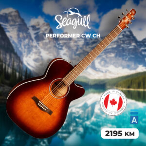Seagull Performer CW CH Burnt Umber Presys II gitara