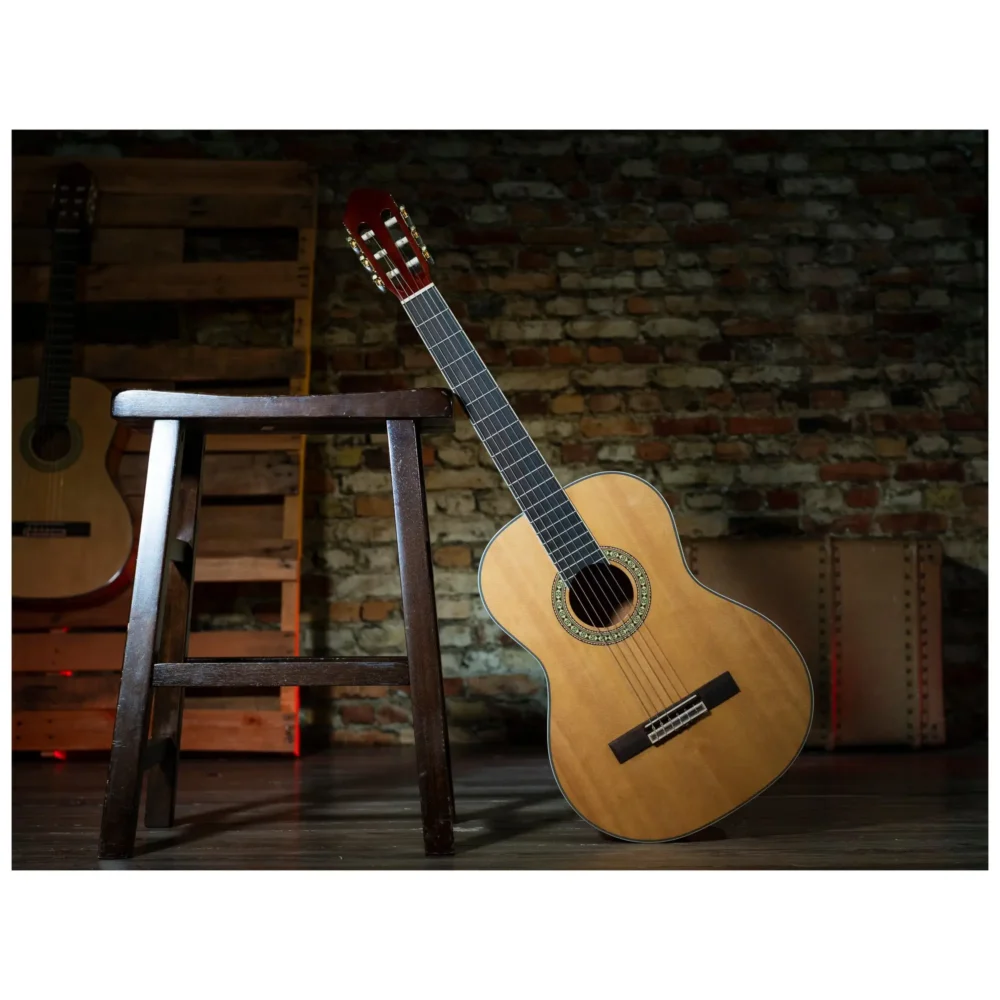 Peavey Delta Woods CNS-2™ klasična školska gitara sa najlonskim žicama, spruce top i mahagoni zadnjom i bočnim stranama, Rosewood prstohvat i kobilica, zlatne mašinice, dekorativna rozeta. Prodaja Artist d.o.o. Banja Luka, Sarajevo