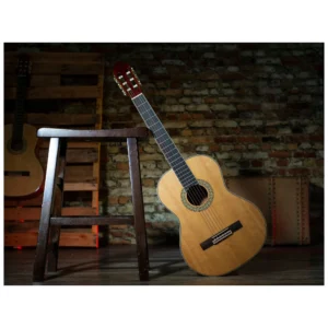 Peavey Delta Woods CNS-2™ klasična školska gitara sa najlonskim žicama, spruce top i mahagoni zadnjom i bočnim stranama, Rosewood prstohvat i kobilica, zlatne mašinice, dekorativna rozeta. Prodaja Artist d.o.o. Banja Luka, Sarajevo