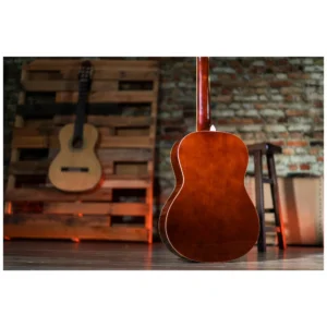 Peavey Delta Woods CNS-2™ klasična školska gitara sa najlonskim žicama, spruce top i mahagoni zadnjom i bočnim stranama, Rosewood prstohvat i kobilica, zlatne mašinice, dekorativna rozeta. Prodaja Artist d.o.o. Banja Luka, Sarajevo