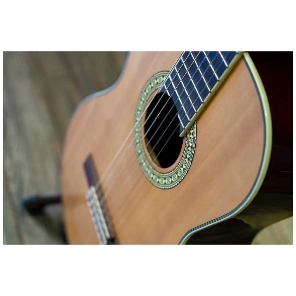 Peavey Delta Woods CNS-2™ klasična školska gitara sa najlonskim žicama, spruce top i mahagoni zadnjom i bočnim stranama, Rosewood prstohvat i kobilica, zlatne mašinice, dekorativna rozeta. Prodaja Artist d.o.o. Banja Luka, Sarajevo