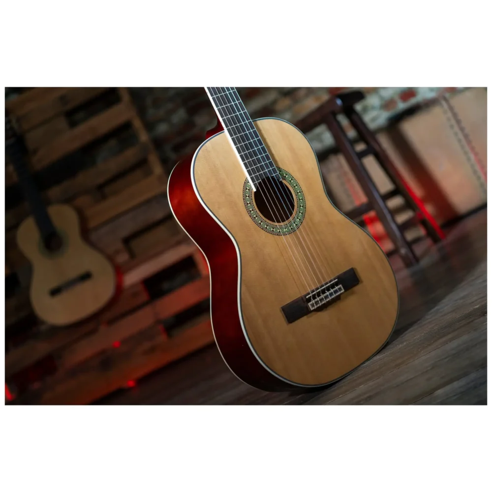 Peavey Delta Woods CNS-2™ klasična školska gitara sa najlonskim žicama, spruce top i mahagoni zadnjom i bočnim stranama, Rosewood prstohvat i kobilica, zlatne mašinice, dekorativna rozeta. Prodaja Artist d.o.o. Banja Luka, Sarajevo