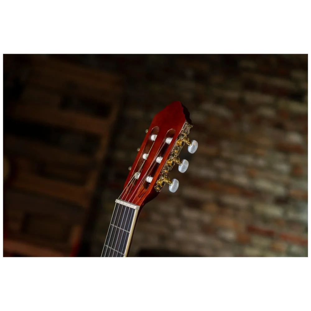 Peavey Delta Woods CNS-2™ klasična školska gitara sa najlonskim žicama, spruce top i mahagoni zadnjom i bočnim stranama, Rosewood prstohvat i kobilica, zlatne mašinice, dekorativna rozeta. Prodaja Artist d.o.o. Banja Luka, Sarajevo