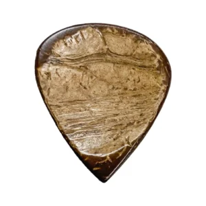 Clayton trzalica Exotic Coconut Shell (komad)