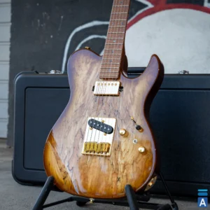 FGN Expert Iliad EIL EW1 HS RM gitara