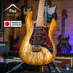 FGN Expert Odyssey EOS2 EW1 RM HCB gitara
