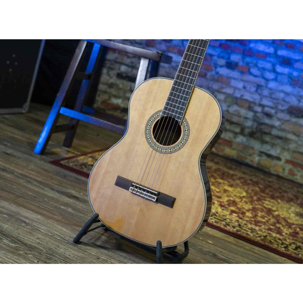 Peavey Delta Woods CNS-2™ klasična školska gitara sa najlonskim žicama, spruce top i mahagoni zadnjom i bočnim stranama, Rosewood prstohvat i kobilica, zlatne mašinice, dekorativna rozeta. Prodaja Artist d.o.o. Banja Luka, Sarajevo