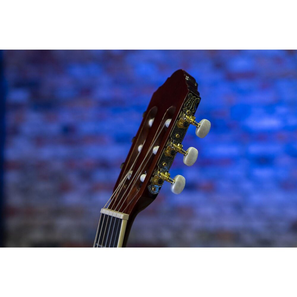 Peavey Delta Woods CNS-2™ klasična školska gitara sa najlonskim žicama, spruce top i mahagoni zadnjom i bočnim stranama, Rosewood prstohvat i kobilica, zlatne mašinice, dekorativna rozeta. Prodaja Artist d.o.o. Banja Luka, Sarajevo