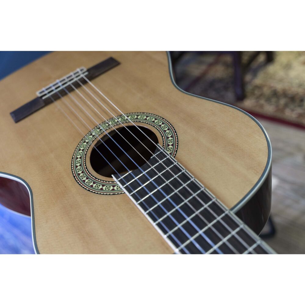 Peavey Delta Woods CNS-2™ klasična školska gitara sa najlonskim žicama, spruce top i mahagoni zadnjom i bočnim stranama, Rosewood prstohvat i kobilica, zlatne mašinice, dekorativna rozeta. Prodaja Artist d.o.o. Banja Luka, Sarajevo